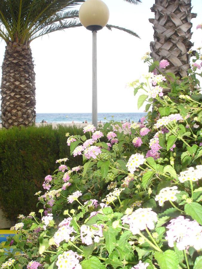Apartament Del Mar Миами-Плайя Экстерьер фото